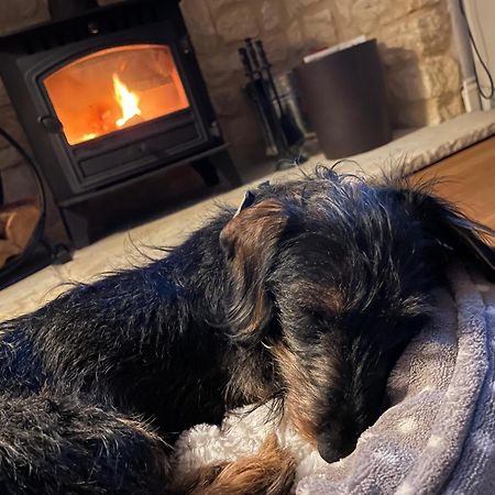 Cosy Cotswold Lodge By Your Home Here - Summer Sale For 3 Plus Nights - Ideal For Families With Log-Burner, Spa, Private Parking And Heated Swimming Pools Ashton Keynes Екстериор снимка