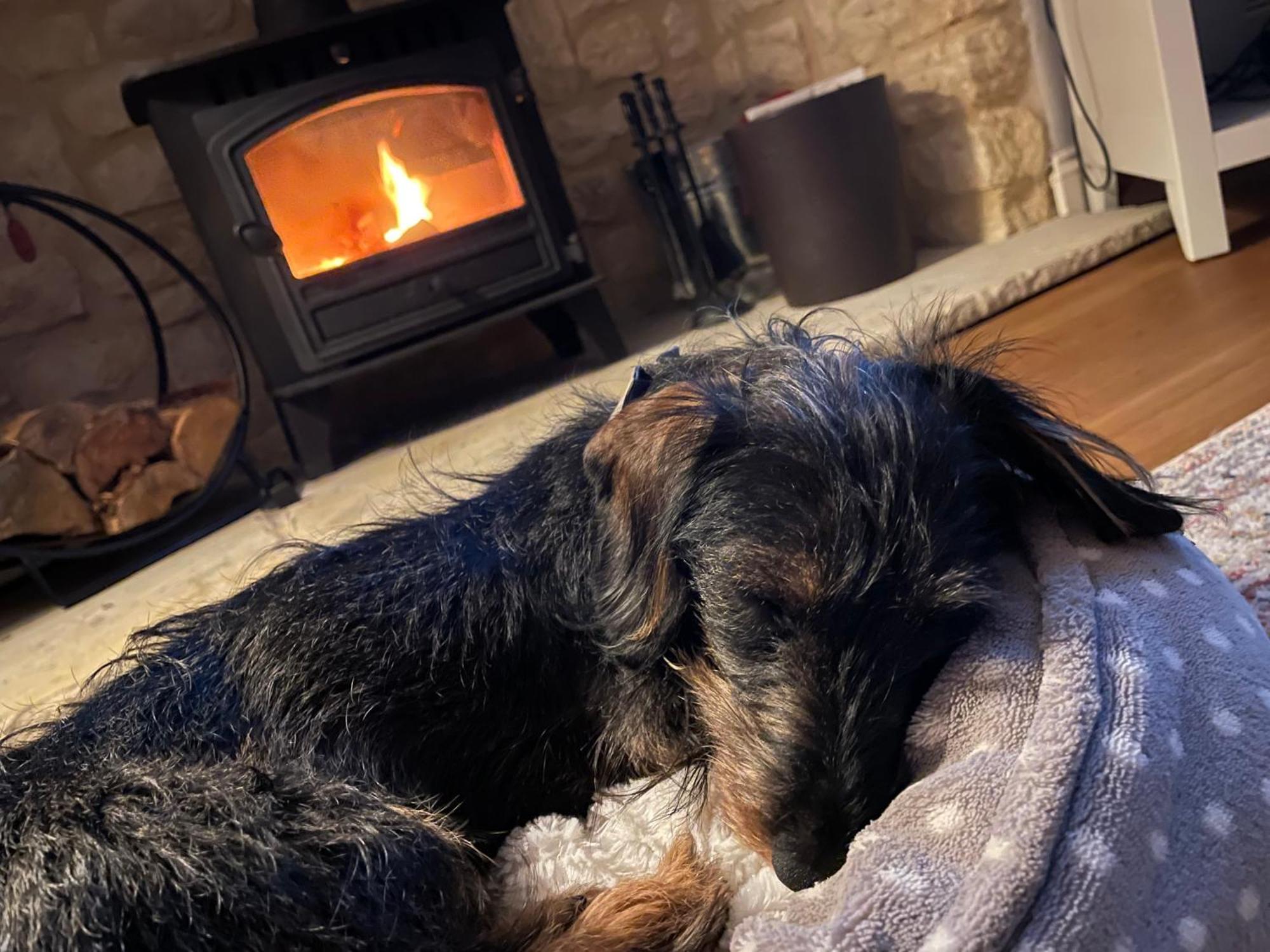 Cosy Cotswold Lodge By Your Home Here - Summer Sale For 3 Plus Nights - Ideal For Families With Log-Burner, Spa, Private Parking And Heated Swimming Pools Ashton Keynes Екстериор снимка